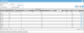 Inventory Data page - Group Panel and Column Panel