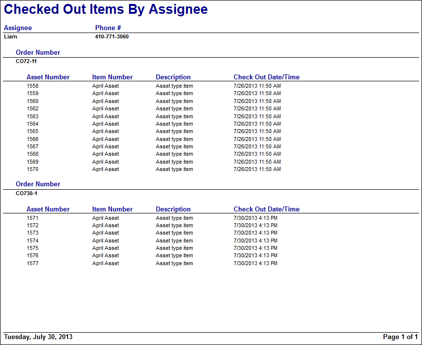 checked-out-items-by-assignee-report